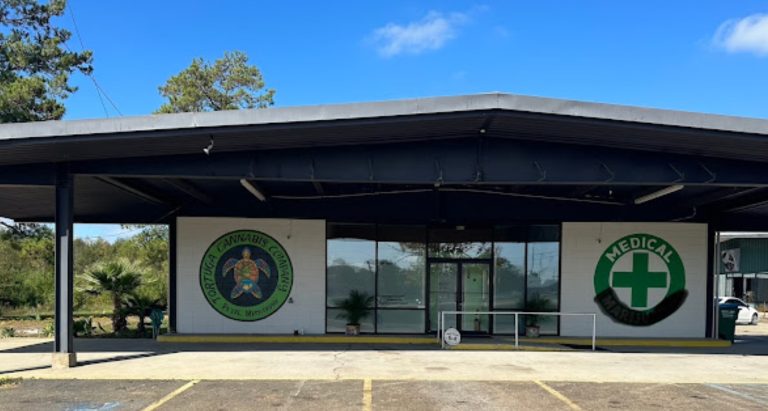 tortuga petal1 768x411 1